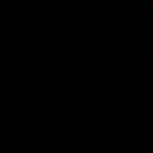 Meet your Posher, Eva